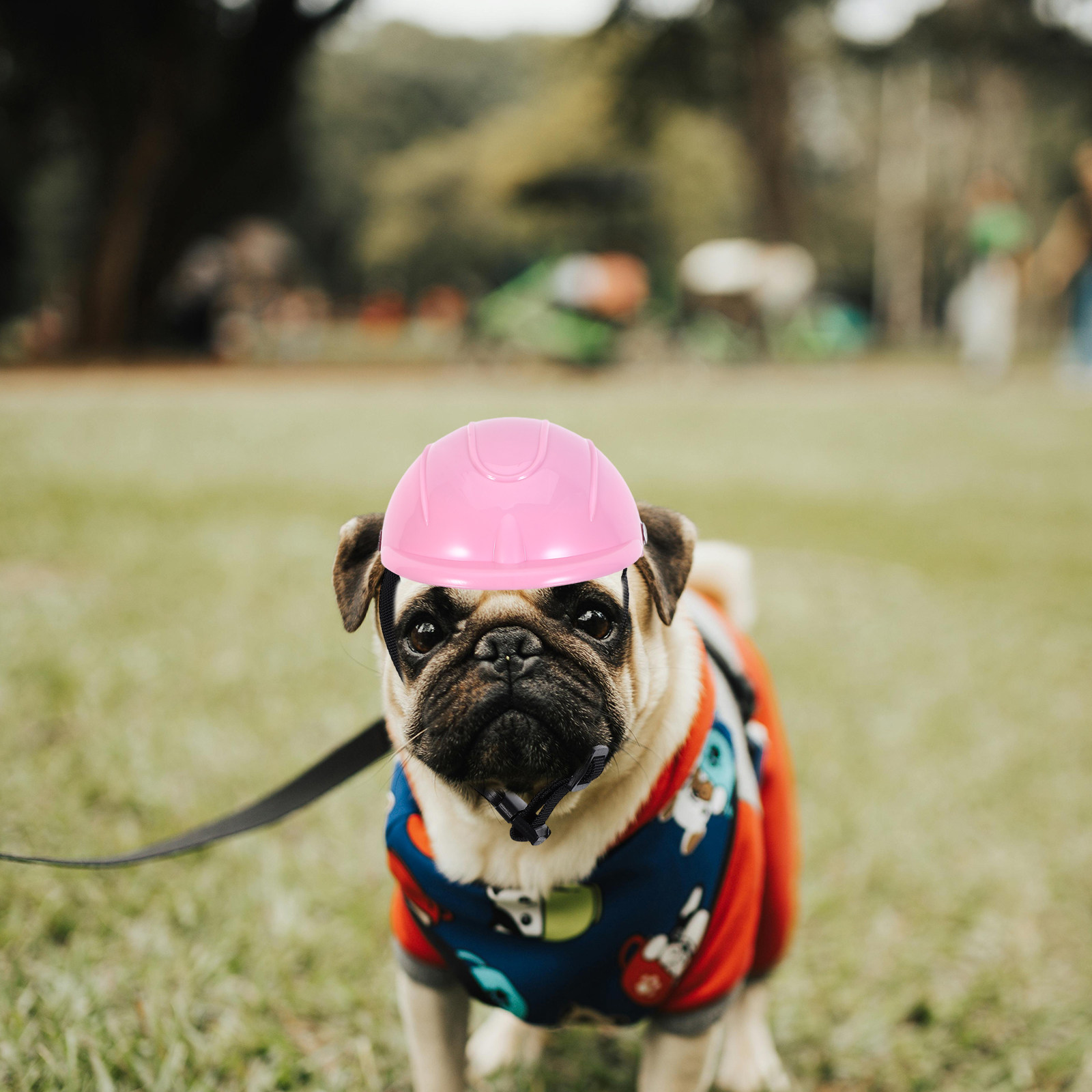 Small Dog Adjustable Pet Safet - Motorcycle Gear Dogs ulasan dan harga