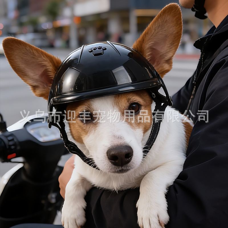 Pink Motorcycle Pet Helmet wit - Motorcycle Gear Dogs ulasan dan harga