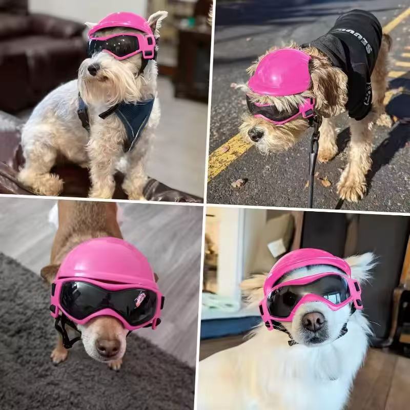 Dog Motorcycle Helmet Goggles  - Motorcycle Gear Dogs ulasan dan harga