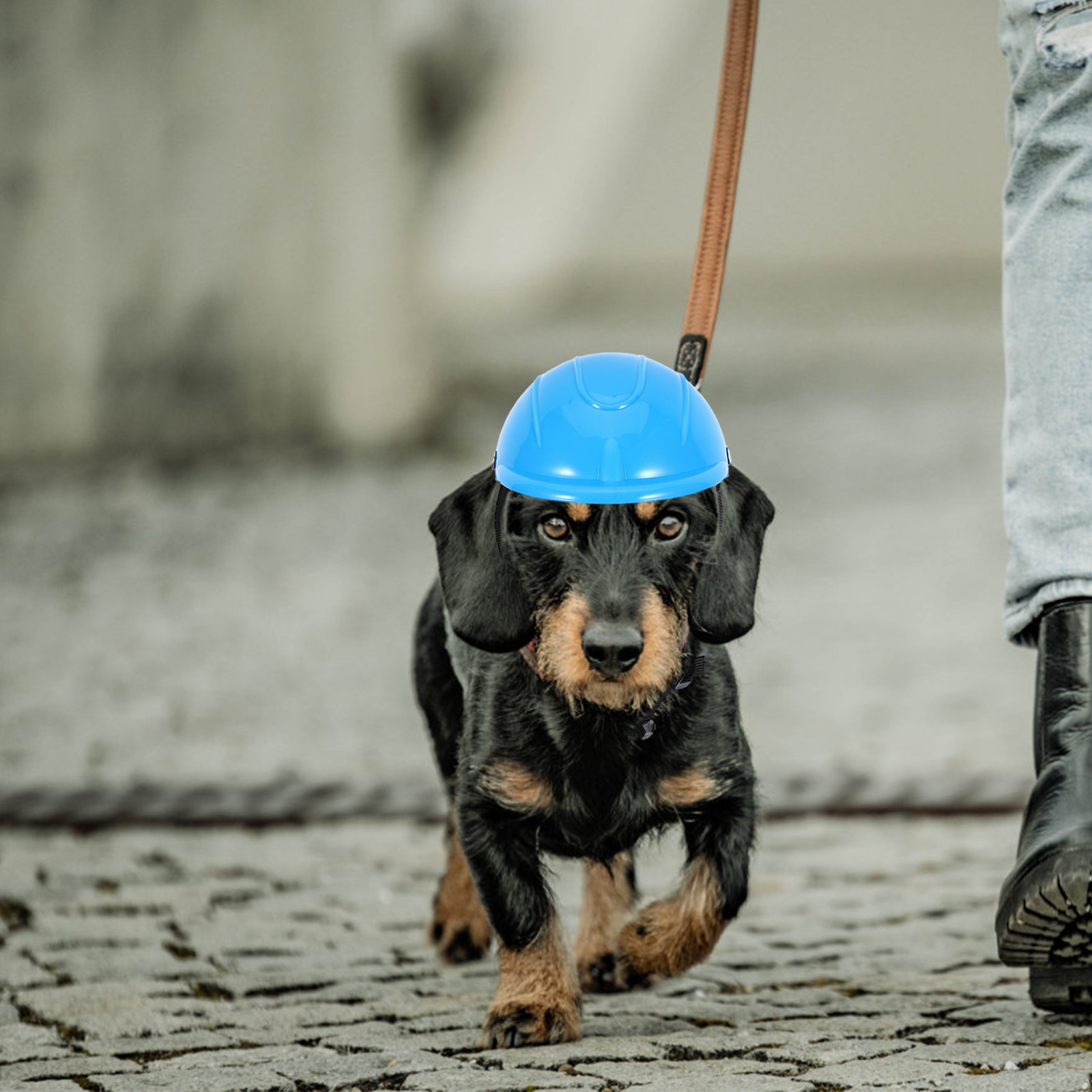 Small Dog Adjustable Pet Motor - Motorcycle Gear Dogs ulasan dan harga
