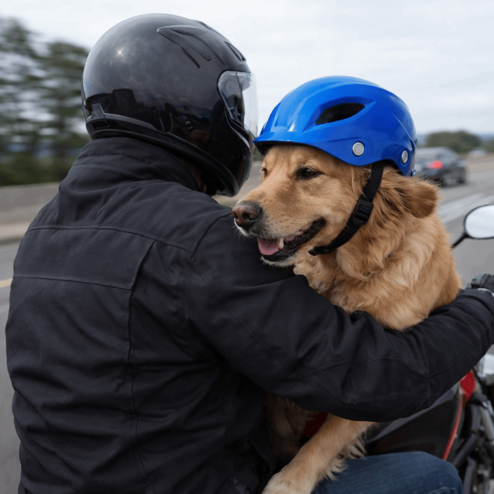 Pet Headgear Adjustable Dog He - Motorcycle Gear Dogs ulasan dan harga